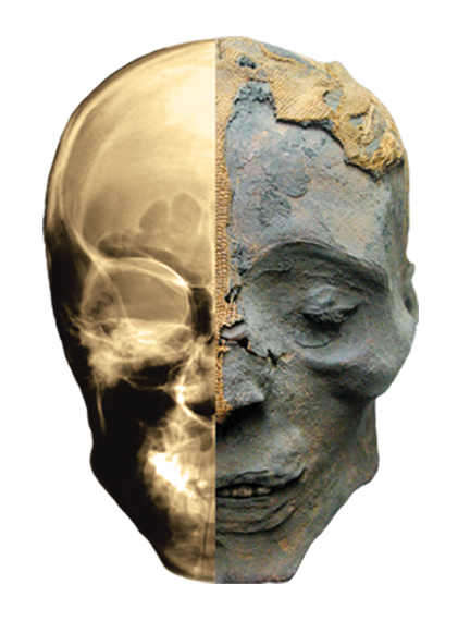Composite picture of mummy head and x-ray